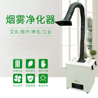 單工位艾灸煙霧凈化器